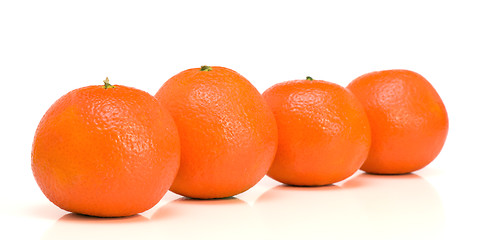 Image showing Four mandarins