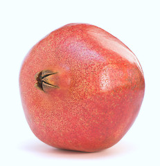 Image showing Lonely pomegranate