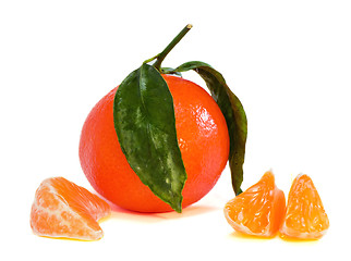 Image showing One mandarin and his slices