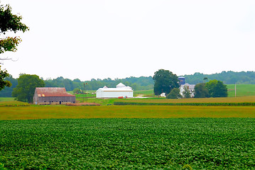 Image showing The Harvest