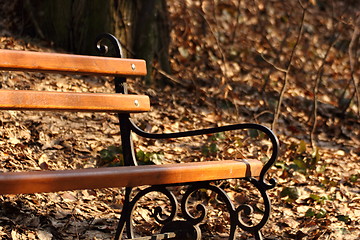 Image showing lonely bench in the park