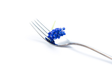 Image showing Fork with blue lavender
