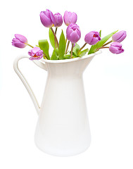 Image showing Tulips in Pitcher