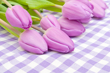 Image showing Tulips