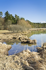 Image showing bavarian landscape