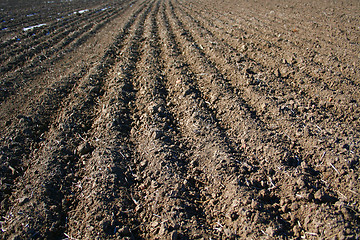 Image showing sowing time