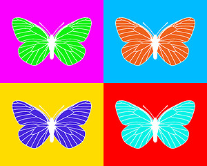 Image showing Butterflies