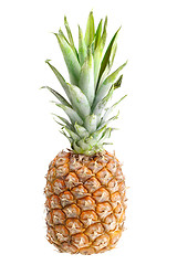 Image showing Single fresh pineapple