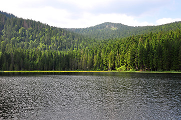 Image showing Lake Arber in Bavaria (Grosser Arbersee)