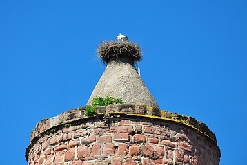 Image showing Stork nest