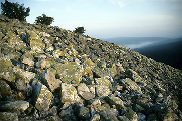 Image showing Summit of Lusen (Bavarian Forest)