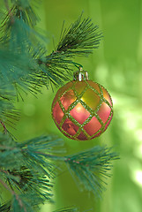 Image showing Christmas Tree