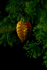 Image showing Christmas Tree Low Key Image