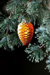 Image showing Christmas Tree