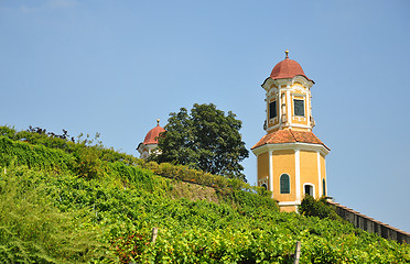 Image showing Vineyard at Castle Stainz, Styria, Austria