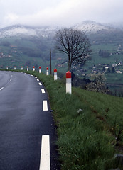 Image showing Spring in the Vosges, France