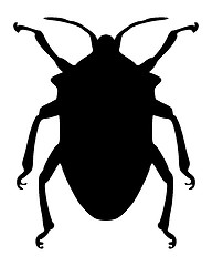 Image showing True bug silhouette