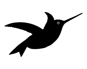 Image showing Hummingbird