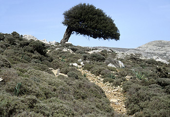 Image showing Greek landscape on Rhodos