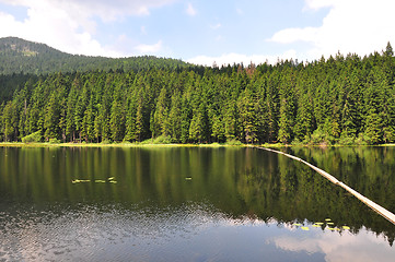 Image showing Lake Arber in Bavaria (Grosser Arbersee)