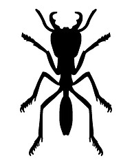 Image showing Ant