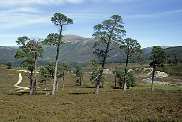 Image showing Highlands in Scotland