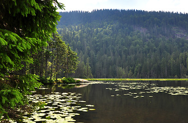 Image showing Lake Arber in Bavaria (Grosser Arbersee)