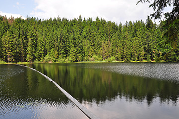 Image showing Lake Arber in Bavaria (Grosser Arbersee)