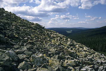 Image showing Summit of Lusen (Bavarian Forest)