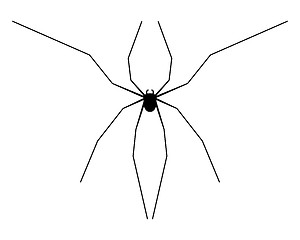 Image showing Harvestman silhouette