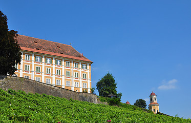 Image showing Vineyard at Castle Stainz, Styria, Austria