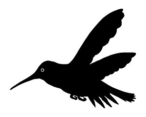 Image showing Hummingbird