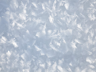 Image showing Snow crystals