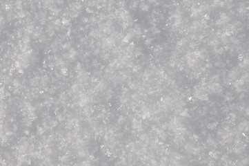 Image showing Snow texture