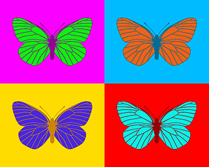 Image showing Butterflies