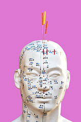Image showing Acupuncture needles on head model