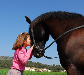 Image showing child and black stallion