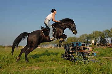 Image showing jumping horse