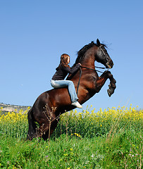 Image showing rearing horse