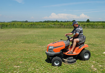 Image showing man and lauwn mower