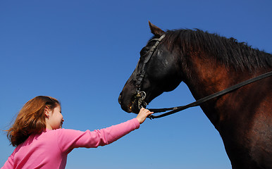 Image showing child and black stallion