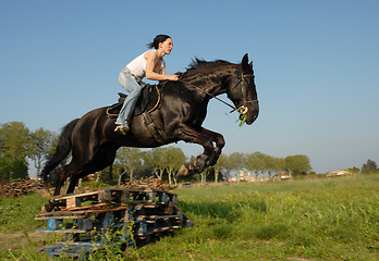 Image showing jumping horse