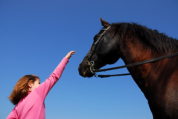 Image showing child and black stallion