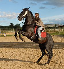 Image showing rearing horse