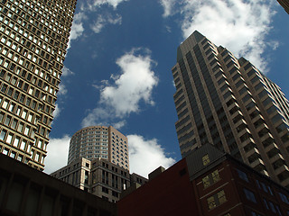 Image showing Upward to Blue Skies