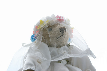 Image showing bride teddy