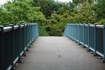 Image showing Bridge to Eden