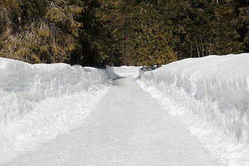 Image showing Snowpath in a wood