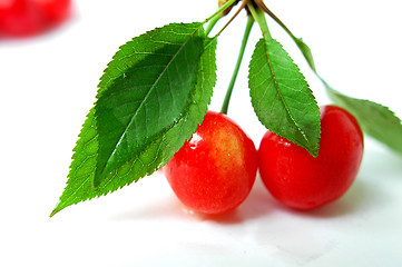 Image showing Red cherry fruits on a white background