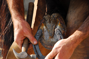 Image showing farrier